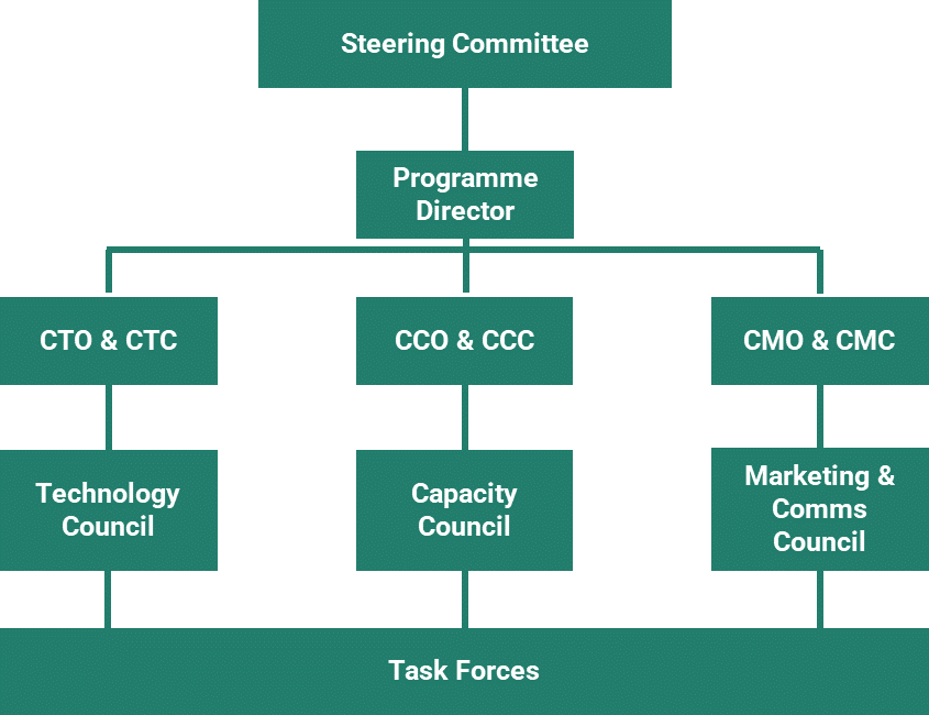 SMART Governance Chart